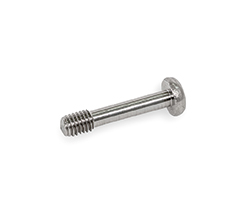 GN 7045.2-Pan head screws